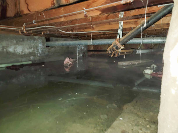 24/7 water damage repair in Hazleton, PA