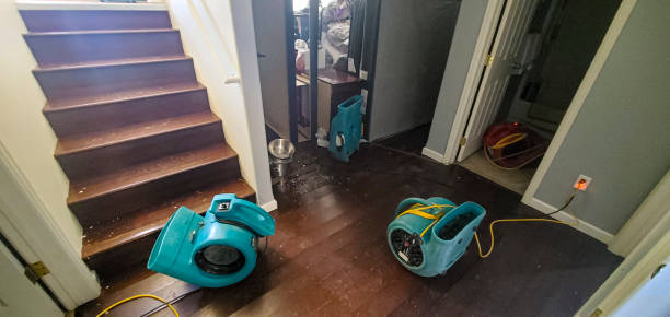 Best Professional water damage repair  in Hazleton, PA