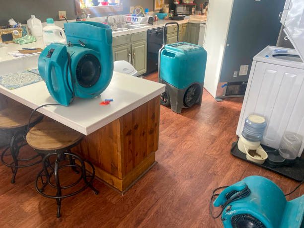 Best Commercial water damage restoration  in Hazleton, PA