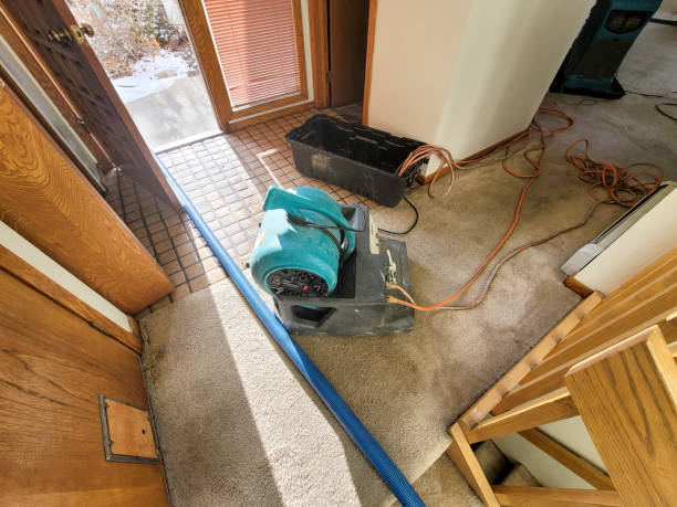  Hazleton, PA Water damage restoration Pros