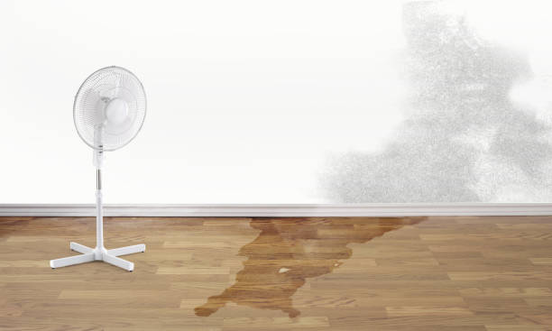 Best Sewage cleanup and water damage restoration  in Hazleton, PA