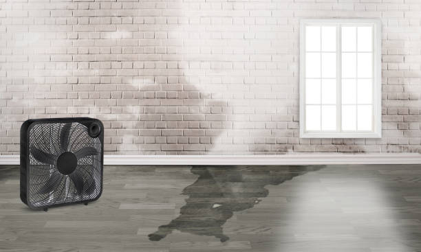 Best Flood restoration services  in Hazleton, PA