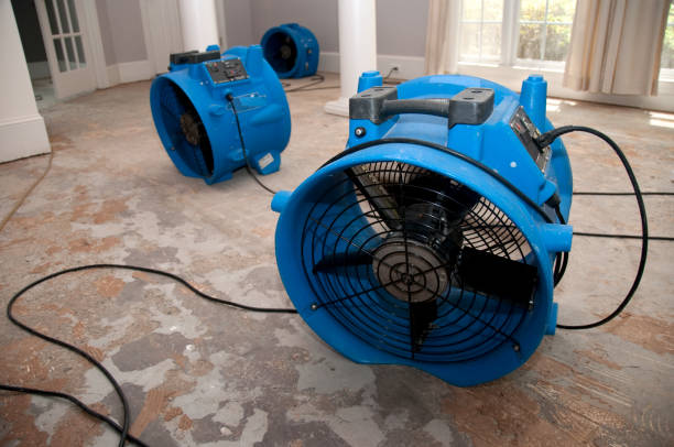 Best Water damage restoration near me  in Hazleton, PA