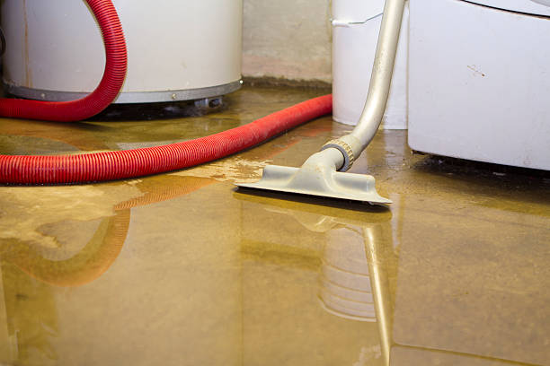 Best Commercial water damage restoration  in Hazleton, PA