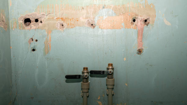 Best Local water damage restoration  in Hazleton, PA